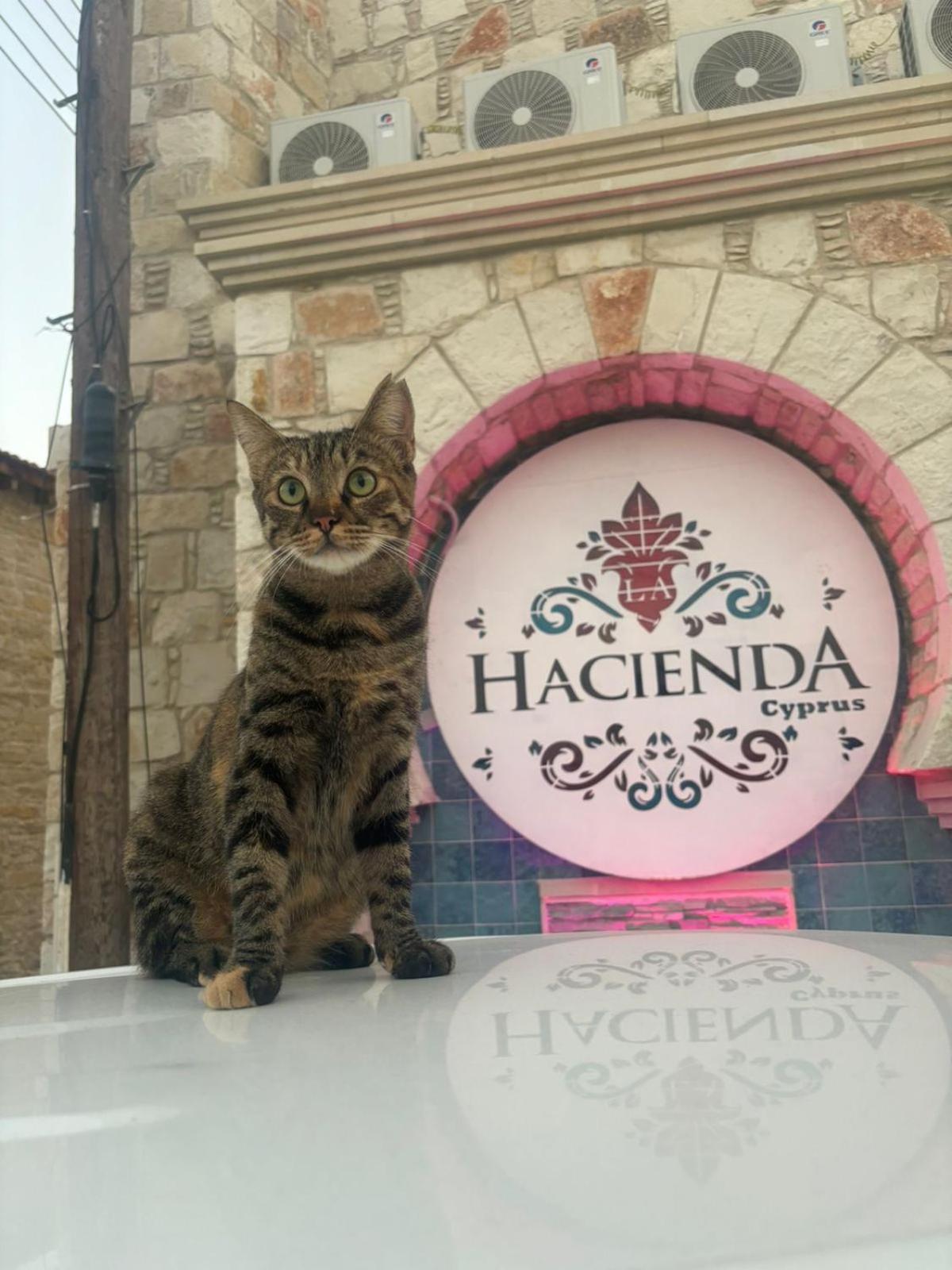 La Hacienda Cyprus Ξενοδοχείο Λεμεσός Εξωτερικό φωτογραφία